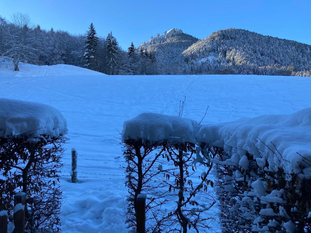 Appartement 2 Pieces Pieds Des Pistes Terrasse Face A La Montagne Bernex Bagian luar foto