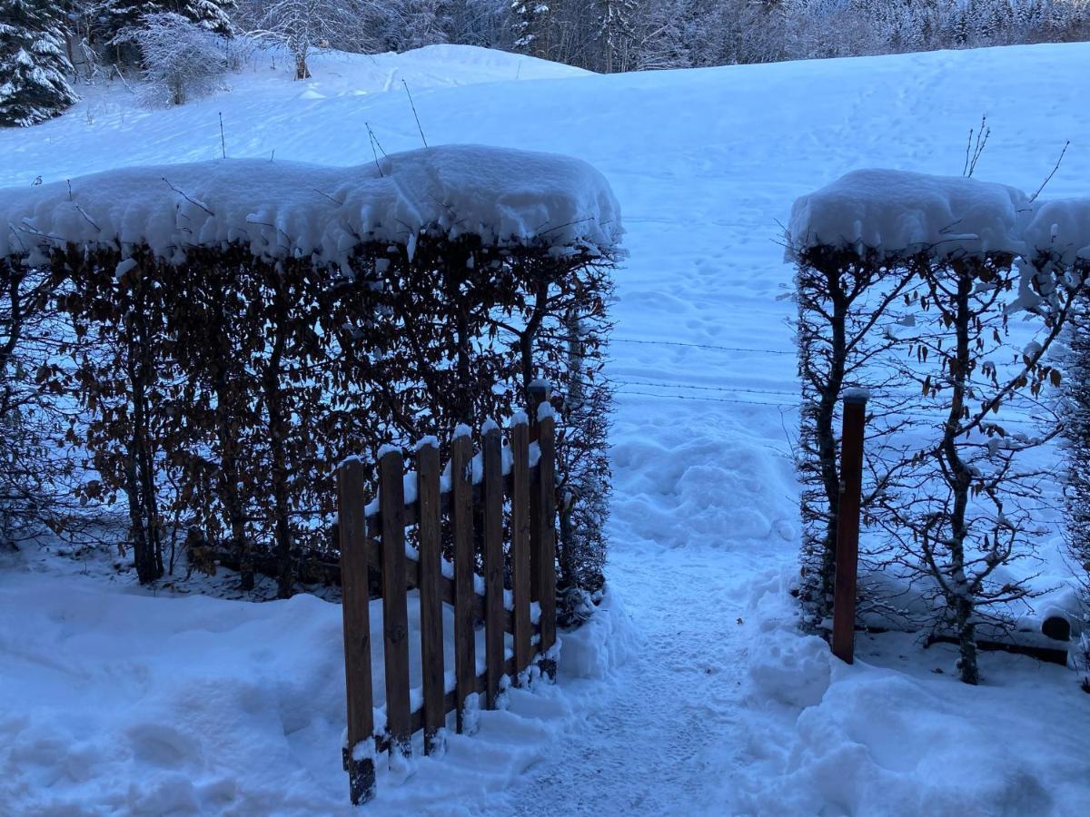 Appartement 2 Pieces Pieds Des Pistes Terrasse Face A La Montagne Bernex Bagian luar foto